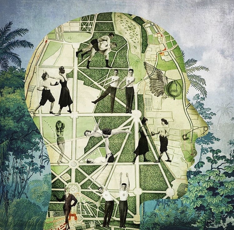 emTrace - Emotionscaoching